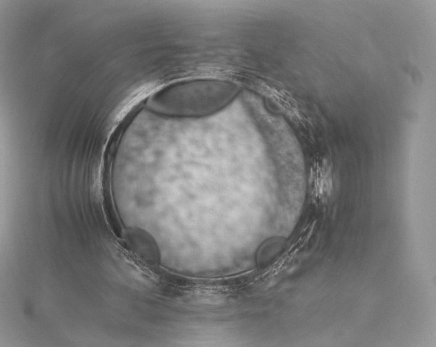 X0000115780292200912041457