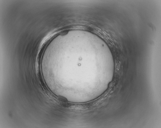 X0000115780294200912041457