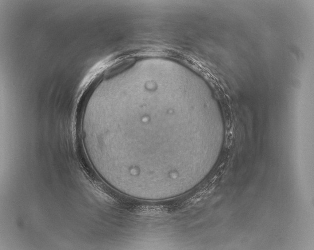 X0000115780296200912041457