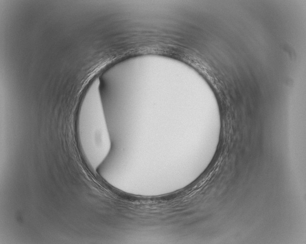 X0000115780297200912041457