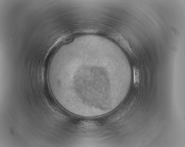 X0000115780300200912041457