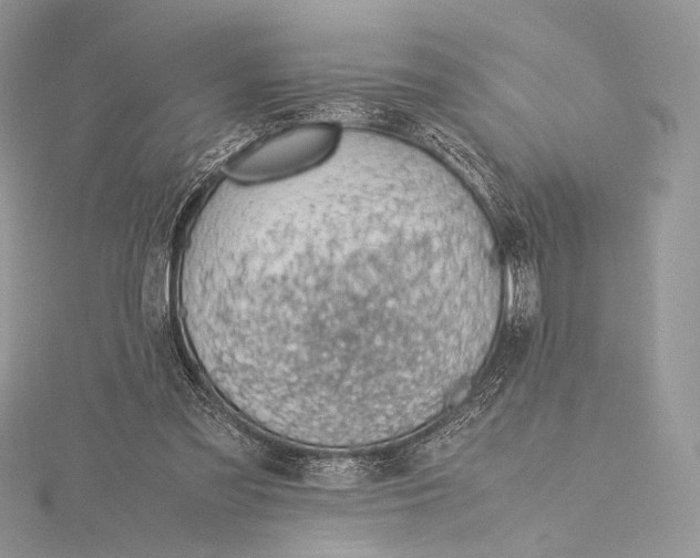 X0000115780301200912041457