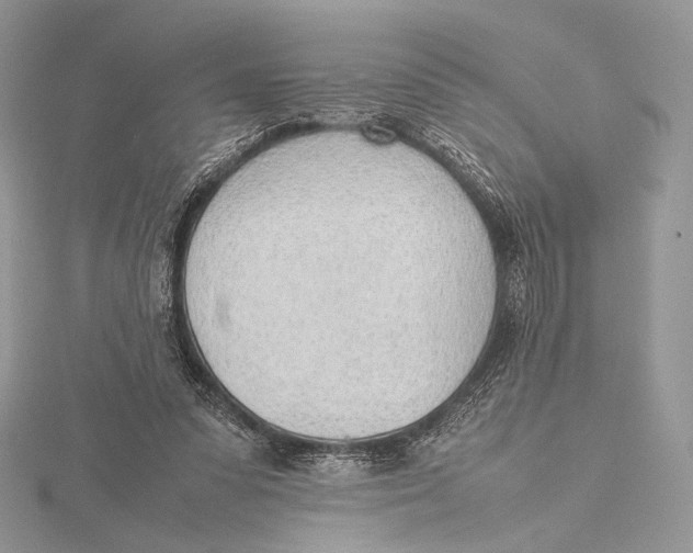 X0000115780303200912041457