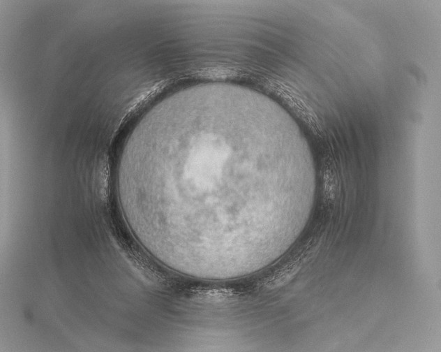 X0000115780304200912041457