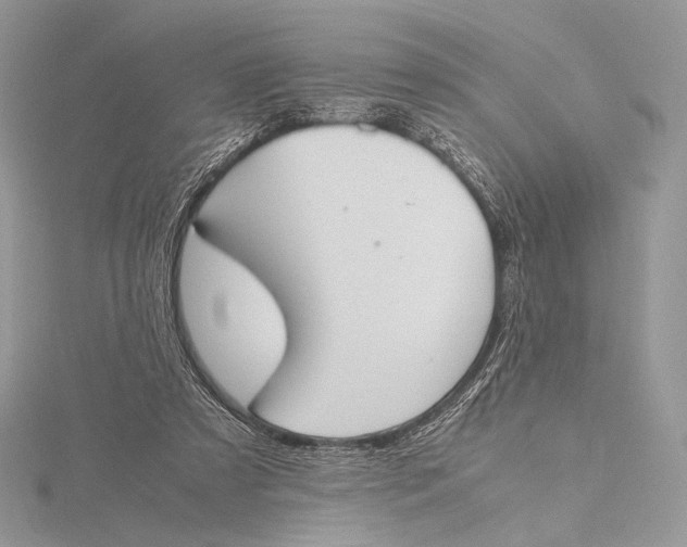 X0000115780305200912041457