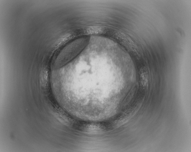 X0000115780308200912041457