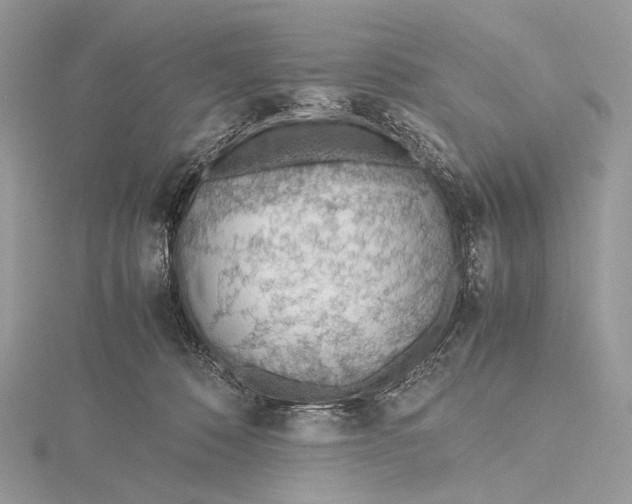 X0000115780320200912041457