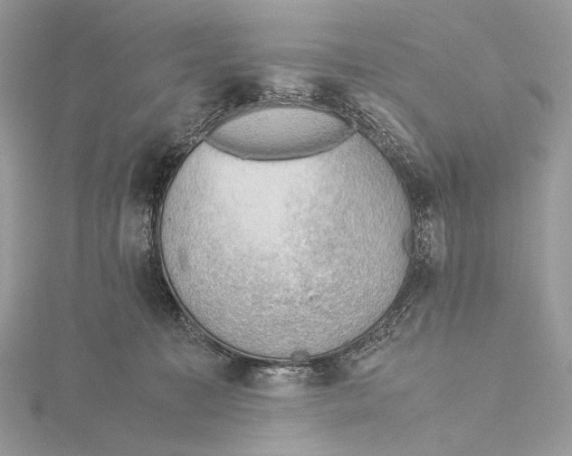 X0000115780323200912041456