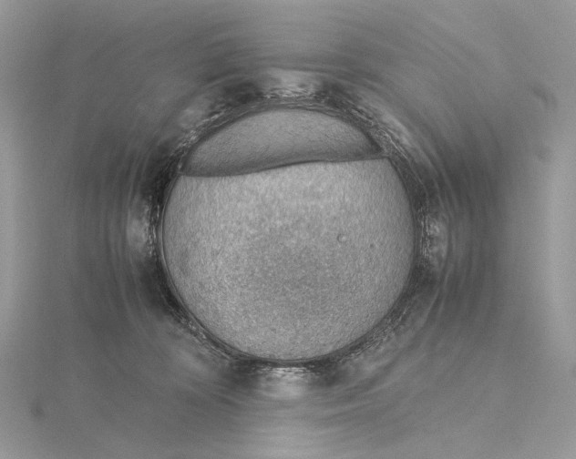 X0000115780324200912041456