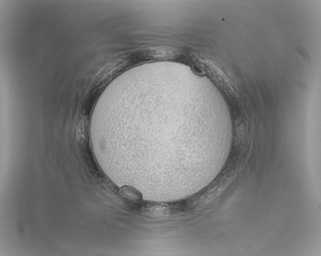 X0000115780325200912041456