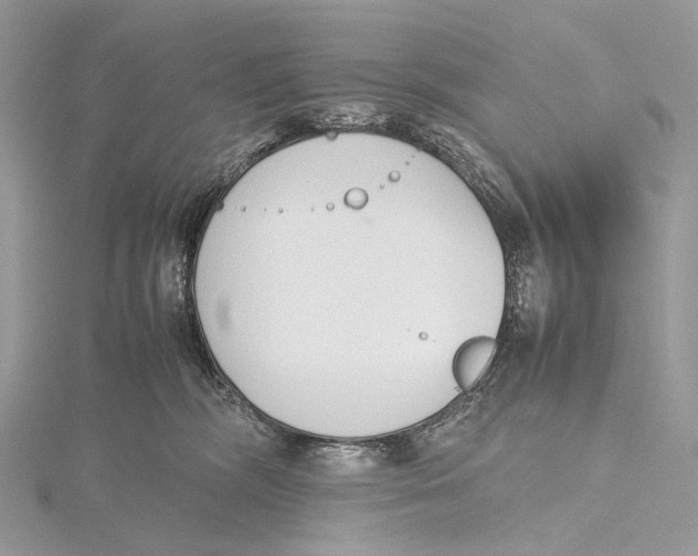 X0000115780326200912041456