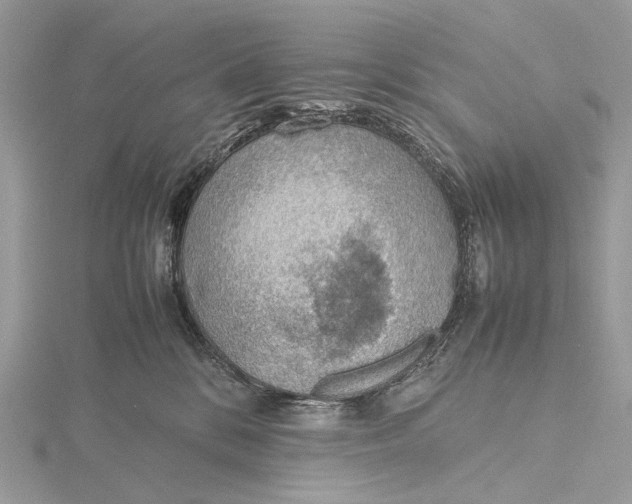 X0000115780328200912041456