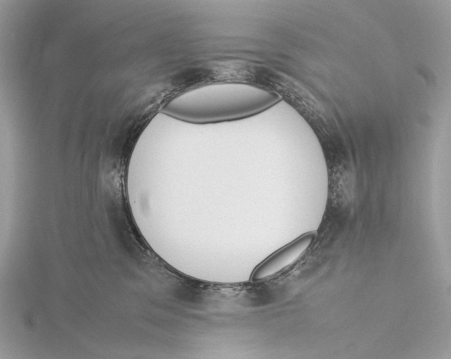 X0000115780329200912041456