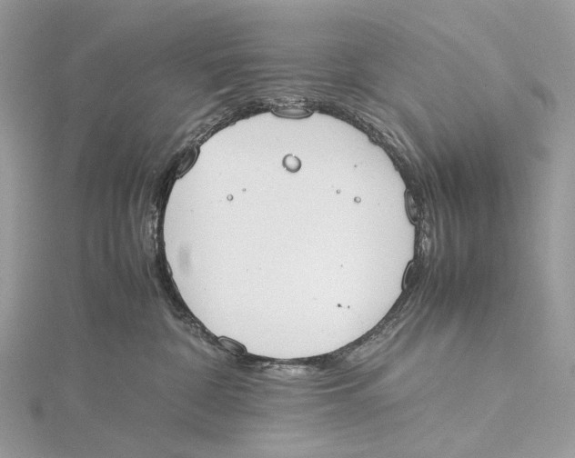 X0000115780332200912041456