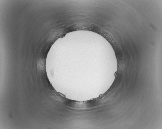 X0000115780335200912041456