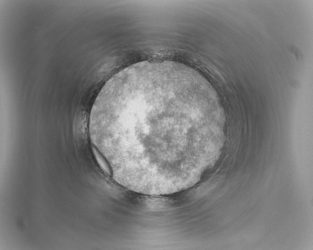 X0000115780336200912041456