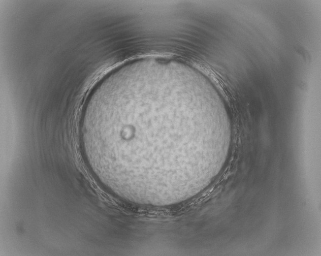 X0000115780337200912041456