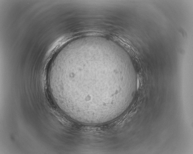 X0000115780339200912041456