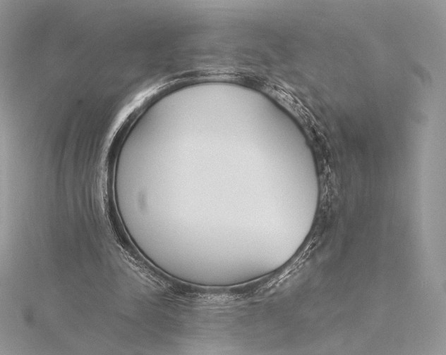 X0000115780342200912041456