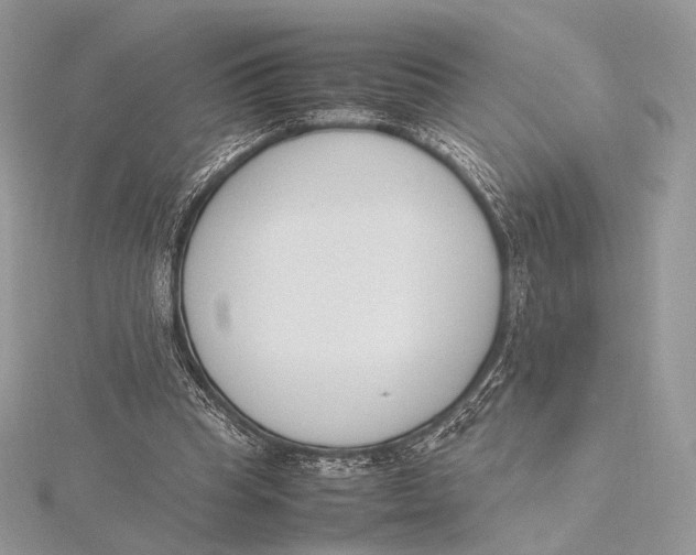 X0000115780345200912041456