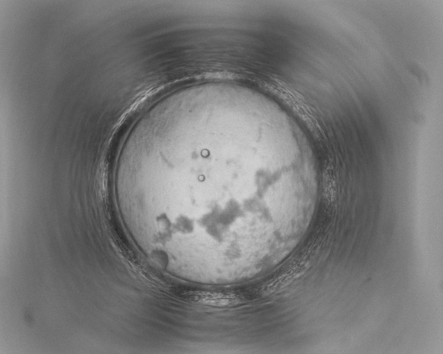 X0000115780347200912041456