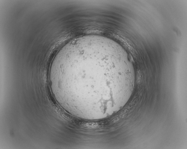 X0000115780353200912041456