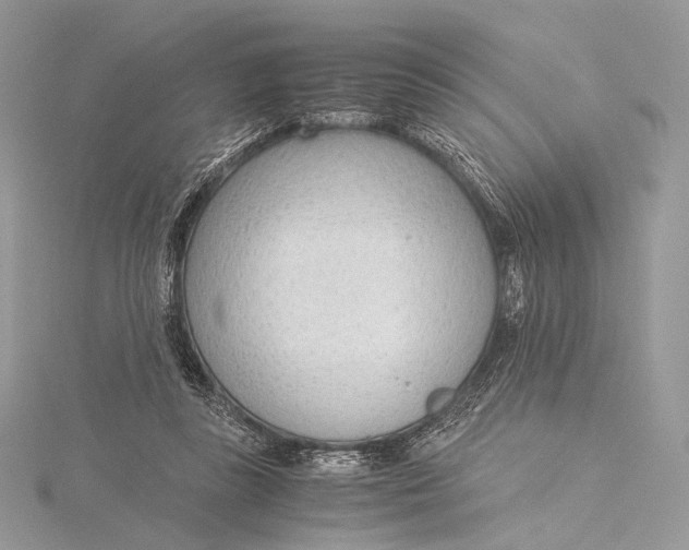 X0000115780355200912041456