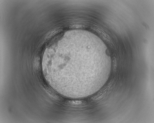 X0000115780361200912041456