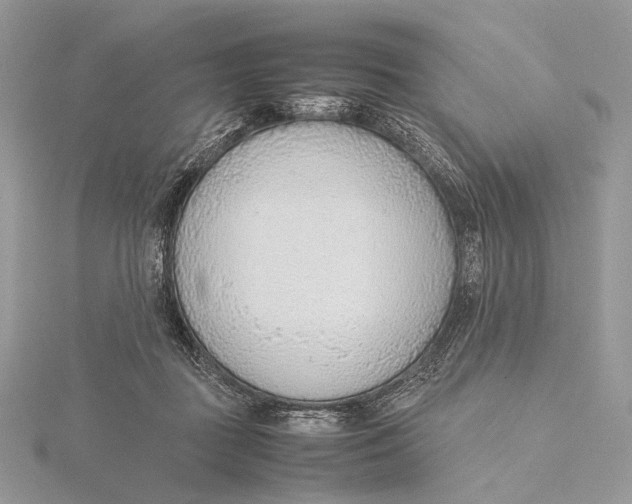 X0000115780363200912041456