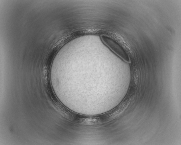 X0000115780366200912041456