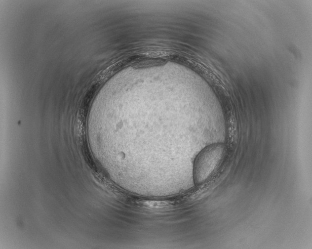 X0000115780371200912041456