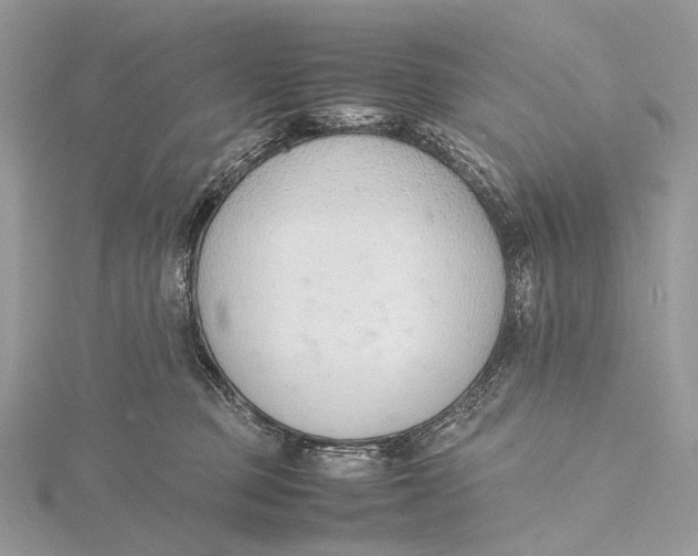 X0000115780373200912041456