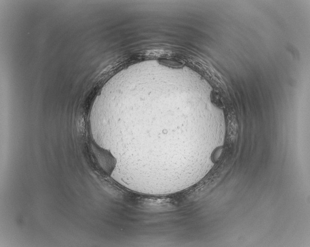 X0000115780375200912041456