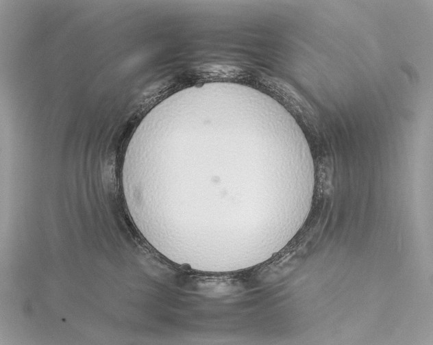 X0000115780377200912041456