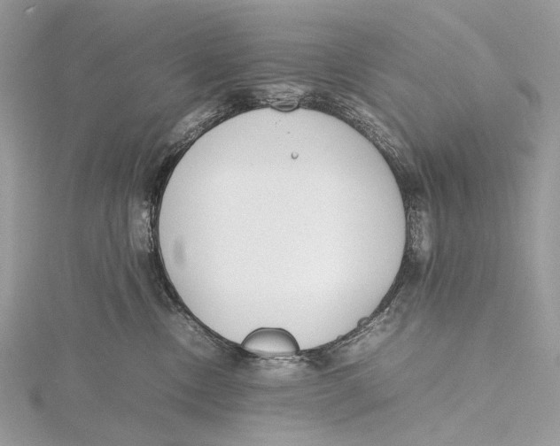 X0000115780378200912041456