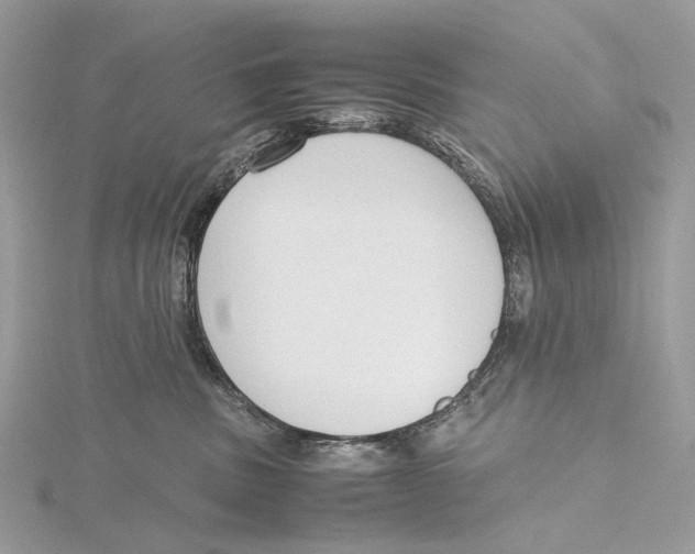 X0000115780379200912041456