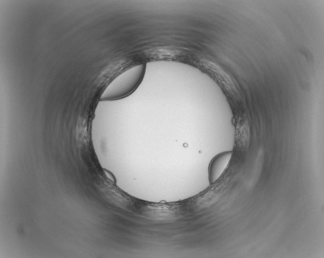 X0000115780381200912041456