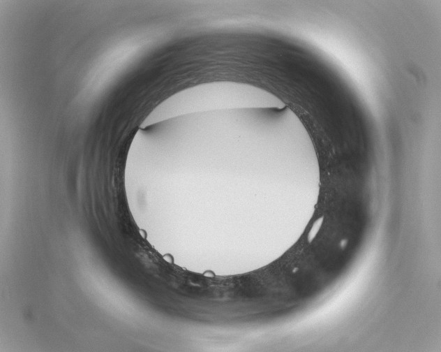 X0000115780382200912041456