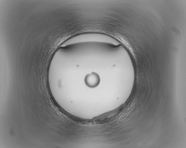 X0000115780385200912041456