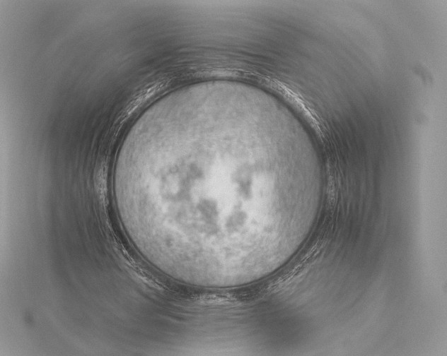 X0000115780386200912041456