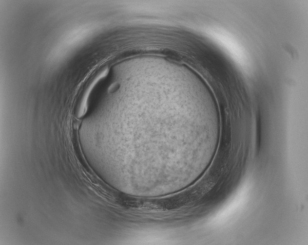 X0000115780387200912041456