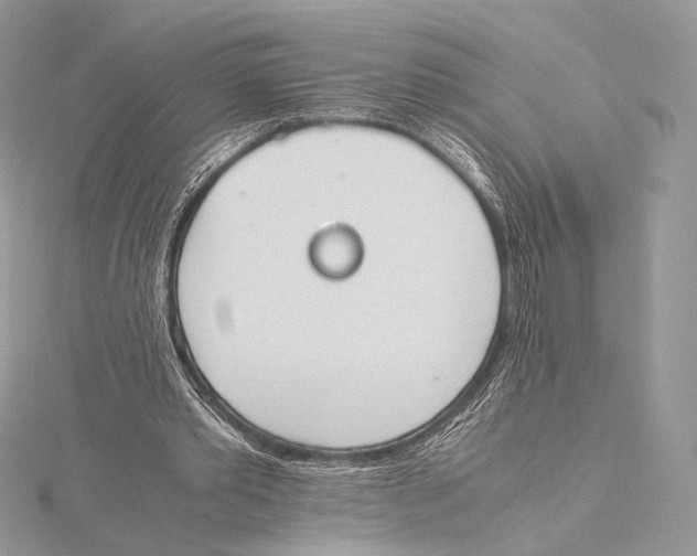 X0000115780389200912041456