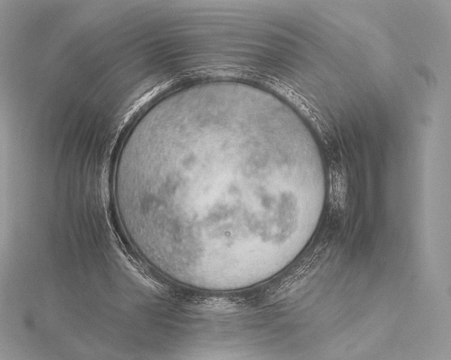 X0000115780390200912041456