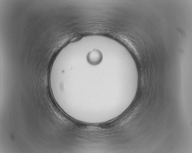 X0000115780393200912041456