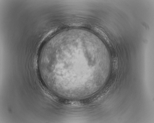 X0000115780395200912041456