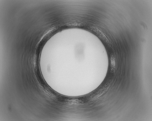 X0000115780396200912041456