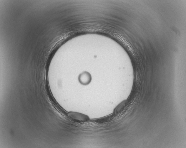 X0000115780397200912041456