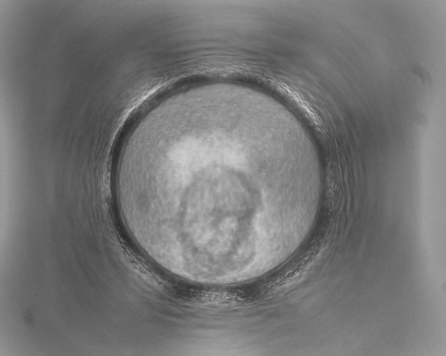 X0000115780399200912041455