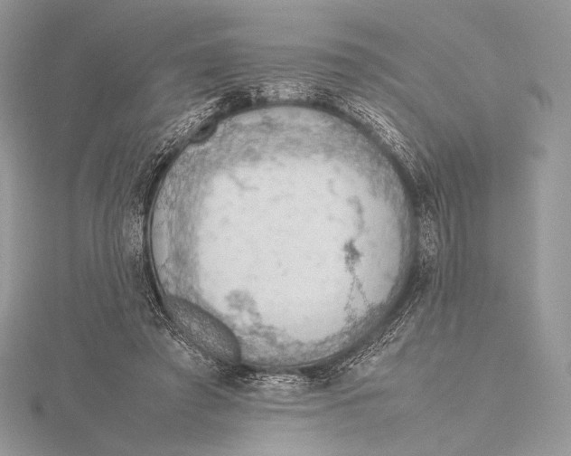 X0000115780401200912041455