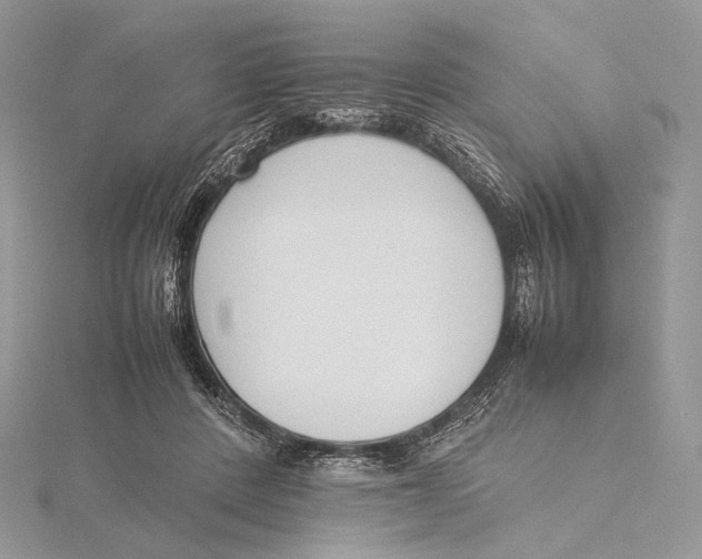 X0000115780408200912041455